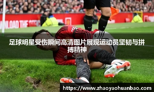 BV伟德官方网站